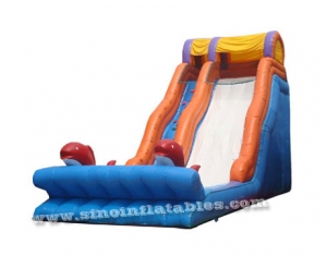 diapositiva inflable delfín gigante