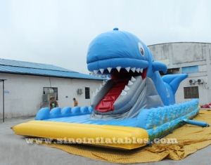 tobogán inflable gigante de ballena con boca móvil