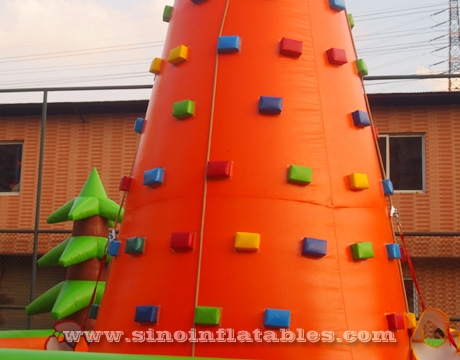 kids inflatable rock climbing wall