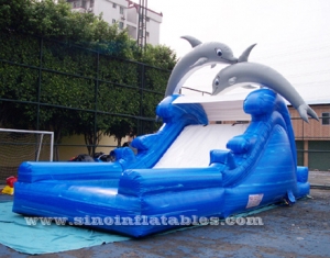 Tobogán acuático inflable para niños Dolphin con piscina