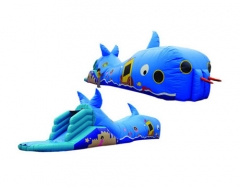  túnel inflable de ballena azul para niños